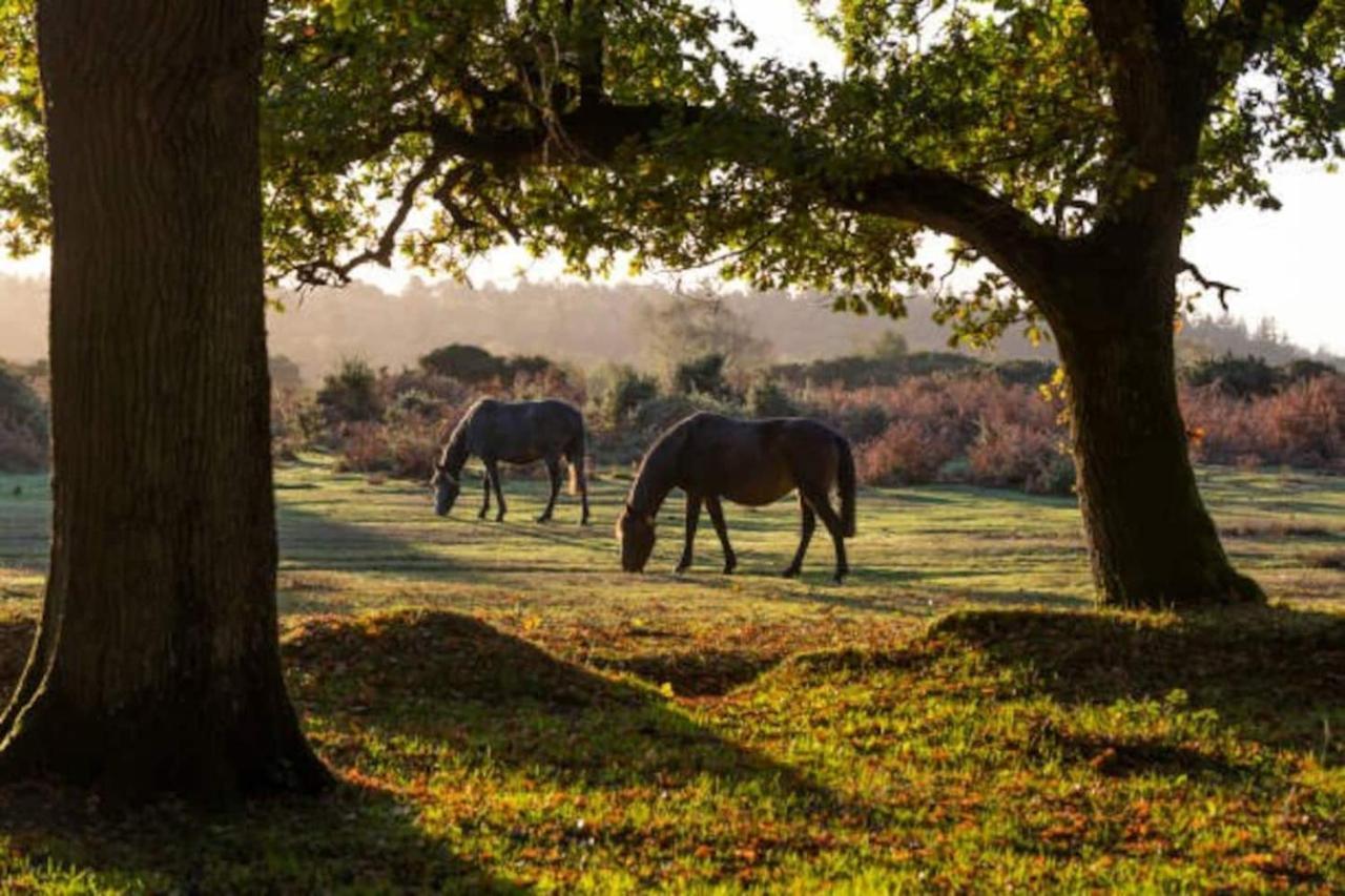 New Forest Retreat Lymington Exterior foto